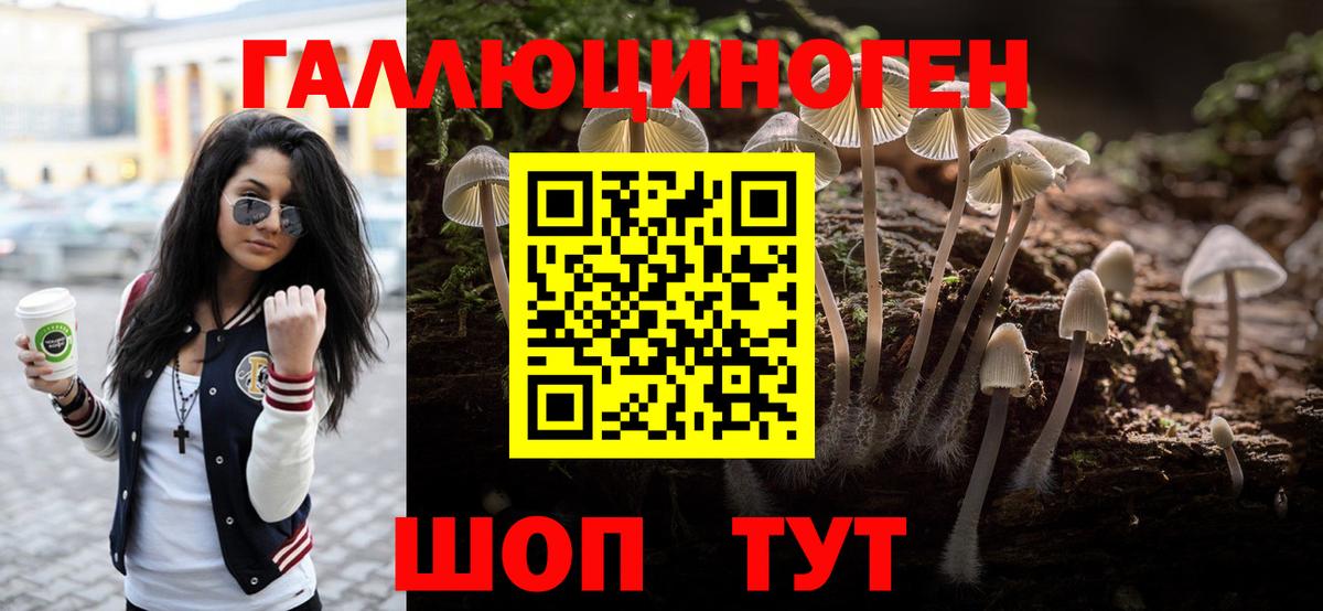 Галлюциногенные грибы GOLDEN TEACHER Балабаново