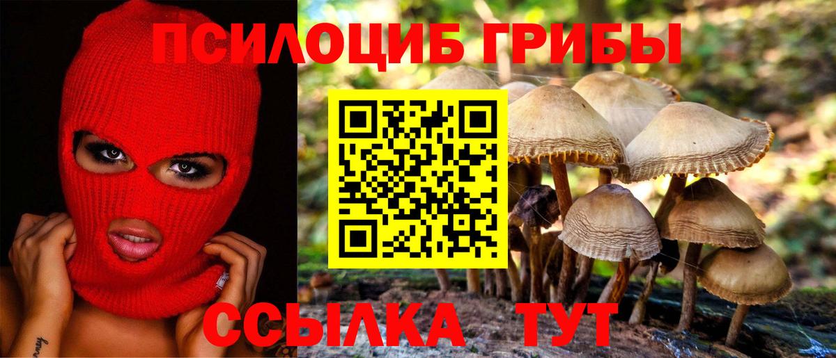 Балабаново  Псилоцибиновые грибы GOLDEN TEACHER  Вход с VPN 